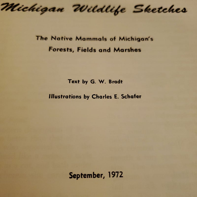 Michigan Wildlife Sketches