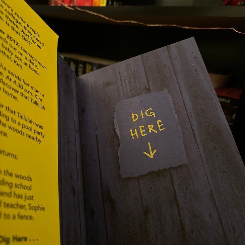 The Night She Disappeared *UK EDITION*