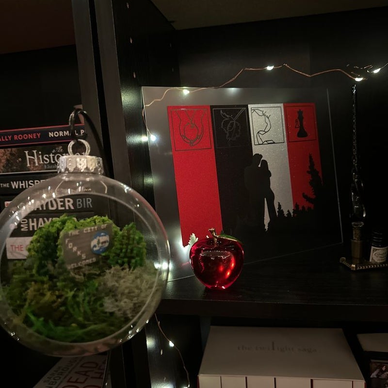 Twilight Merch