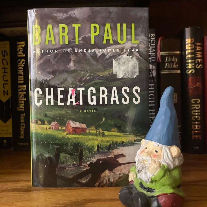 Cheatgrass
