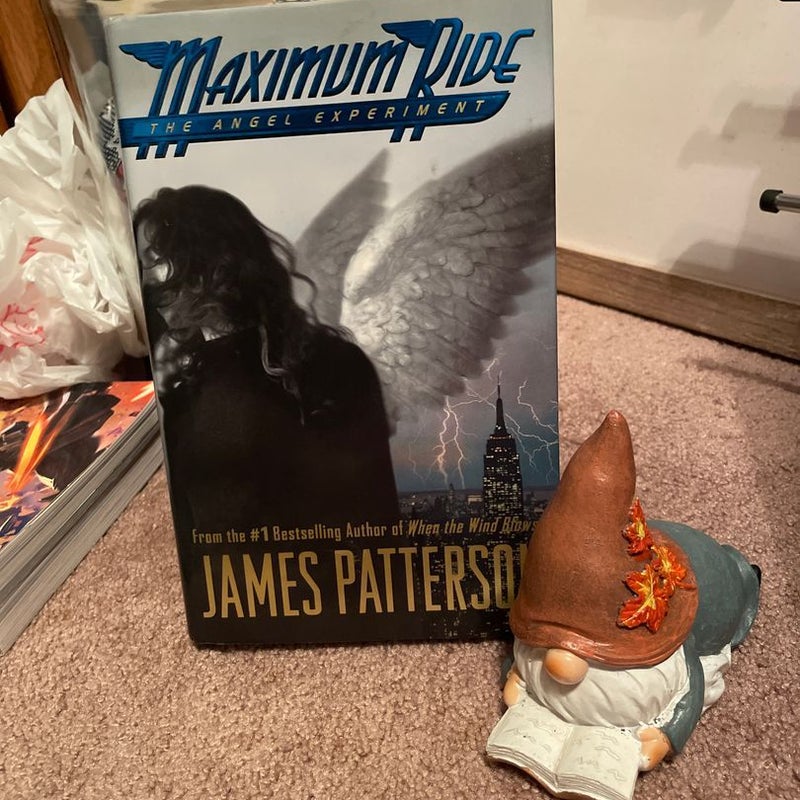 The Angel Experiment -First Edition 