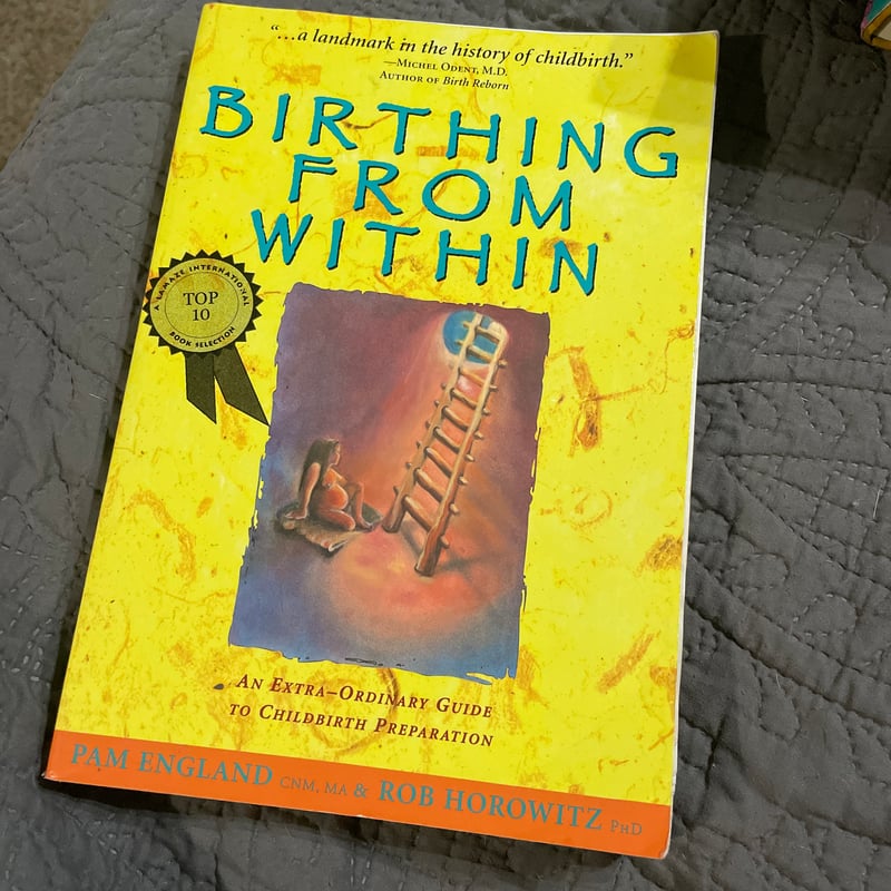 Birthing from Within by Pam England, Rob Horowitz, C. England ...
