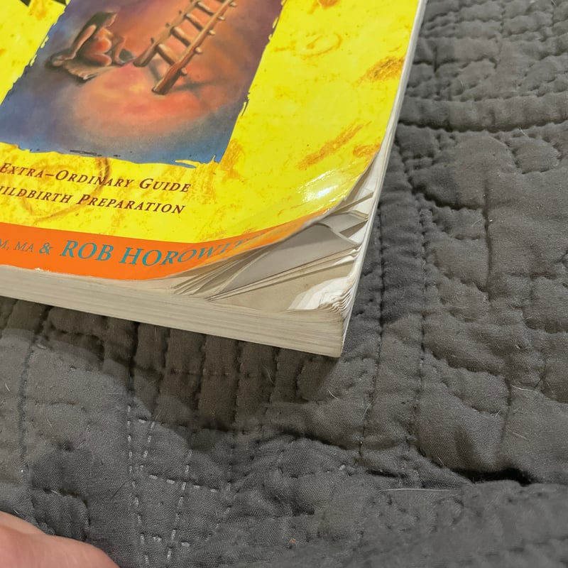 Birthing from Within by Pam England, Rob Horowitz, C. England ...
