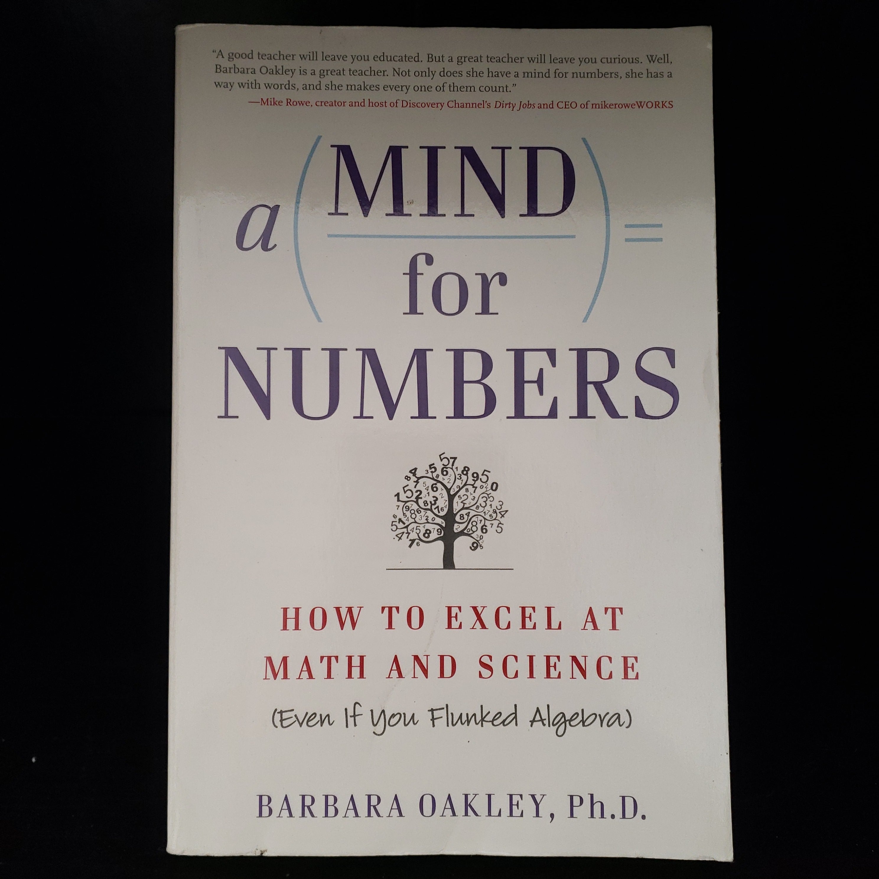 A Mind for Numbers