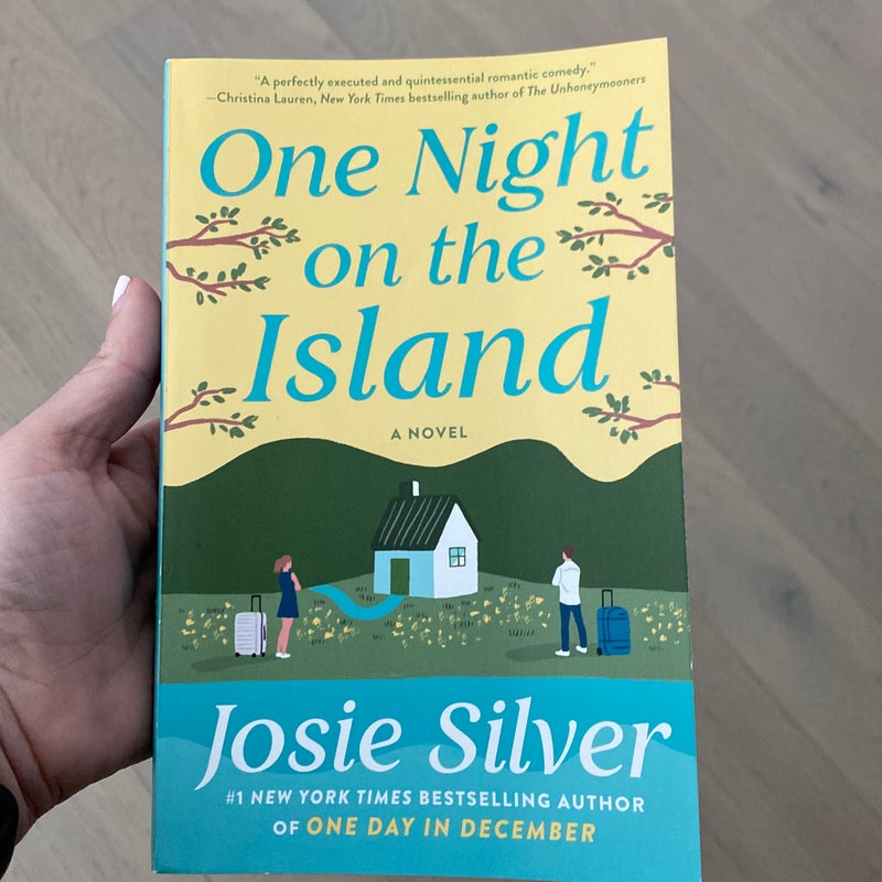 One Night on the Island