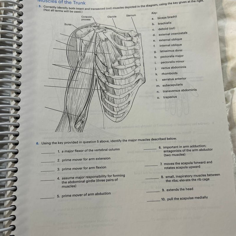 Human Anatomy & Physiology third custom edition