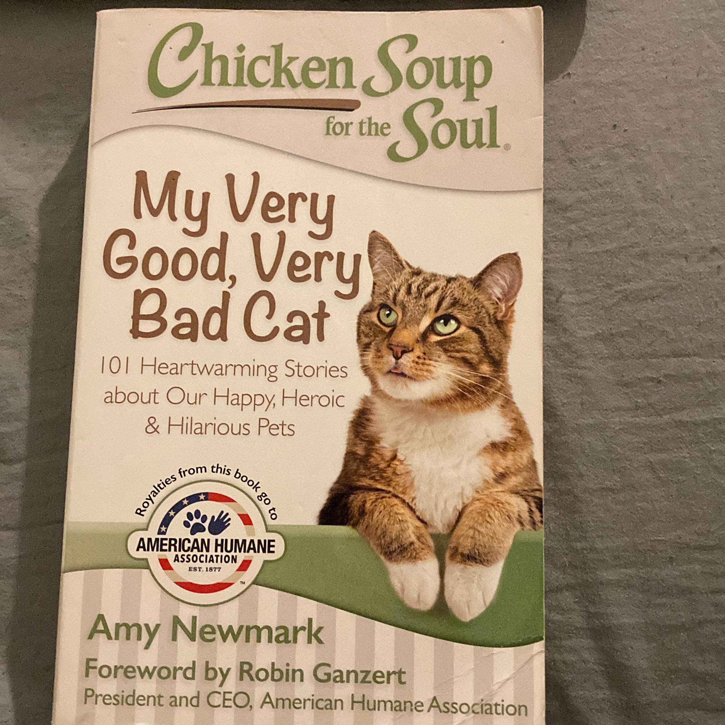 Chicken Soup for the Soul: My Very Good, Very Bad Cat