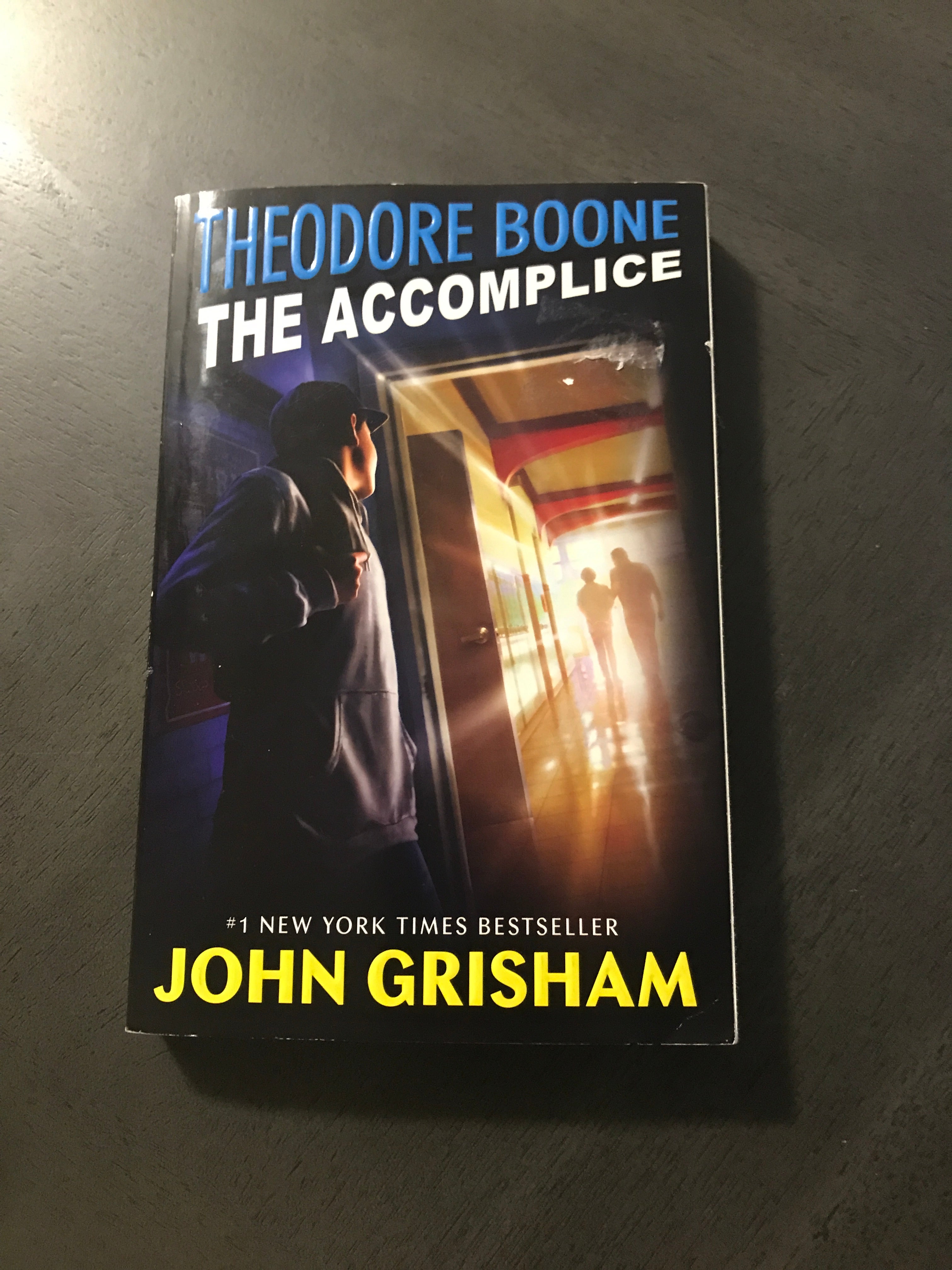 Theodore Boone: the Accomplice