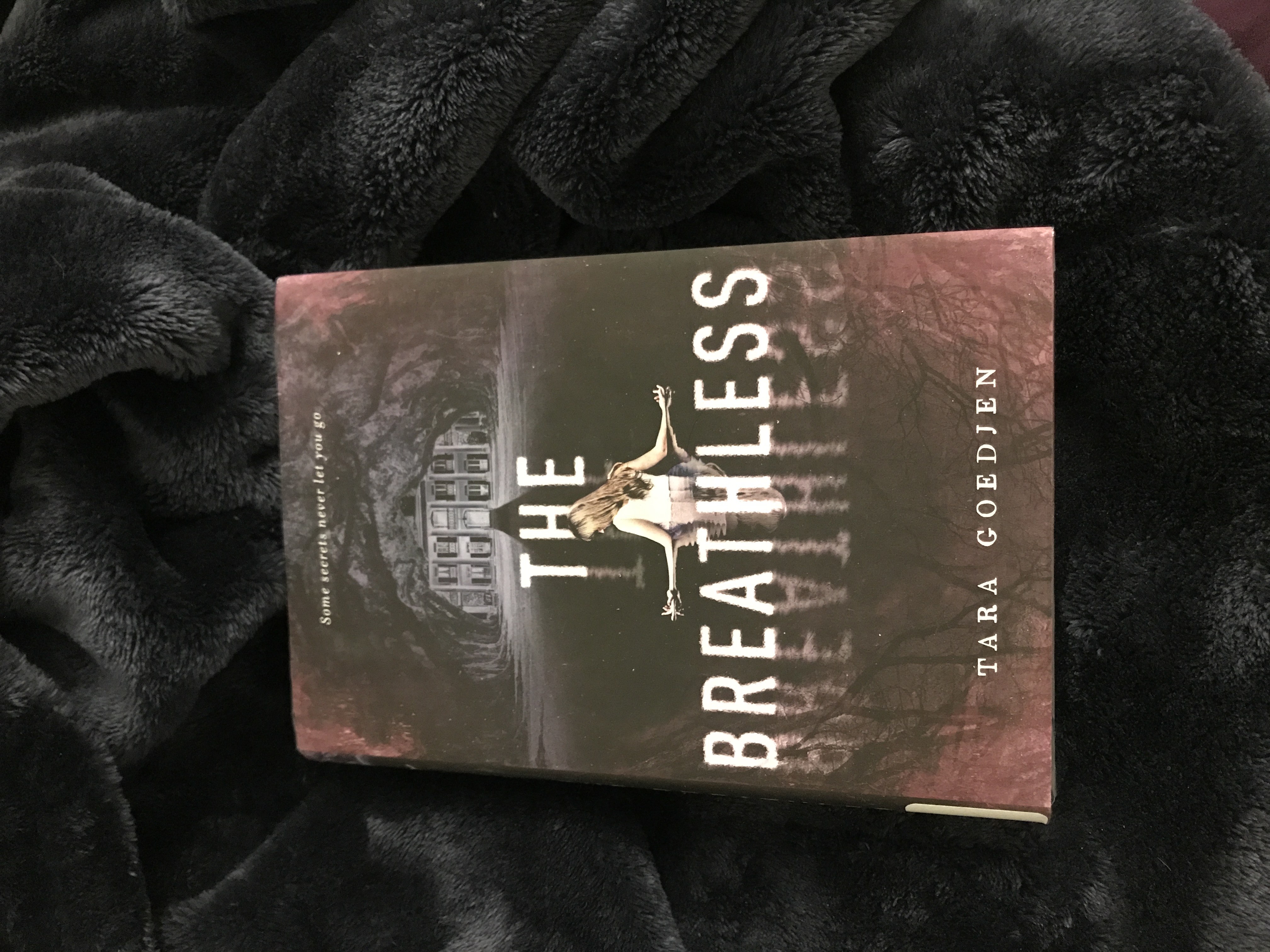 Sale image for 84c3af6f-3800-48a8-afea-1e1b2592784b-1tnkGHJe2VOYwnwudSrjdPAvJAG3