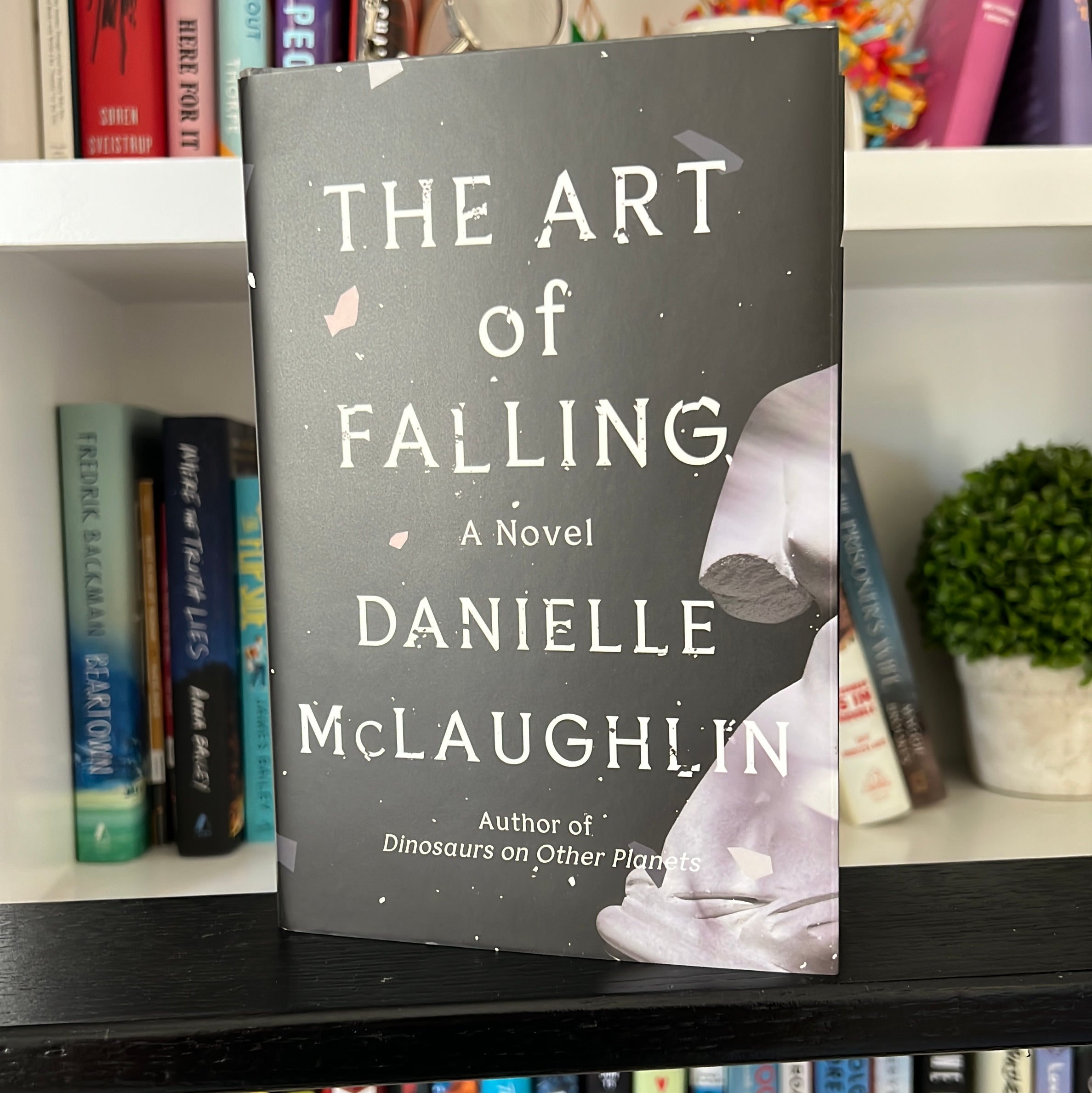 The Art of Falling