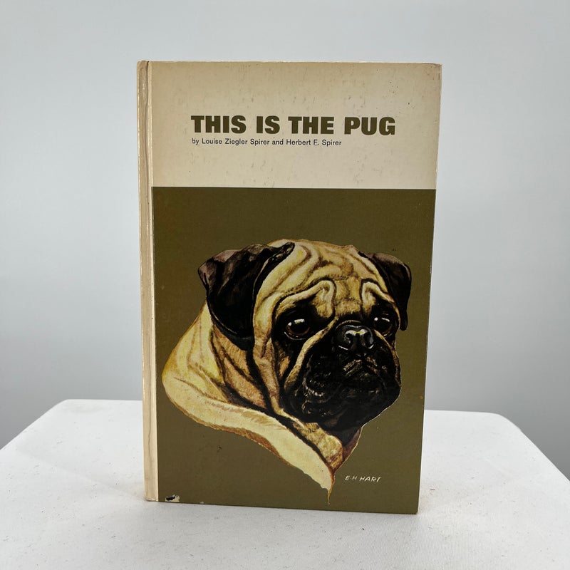 This is the Pug