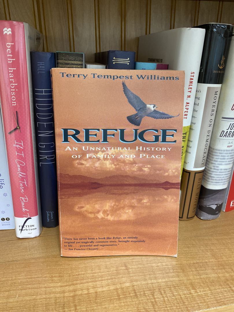 Refuge book cover