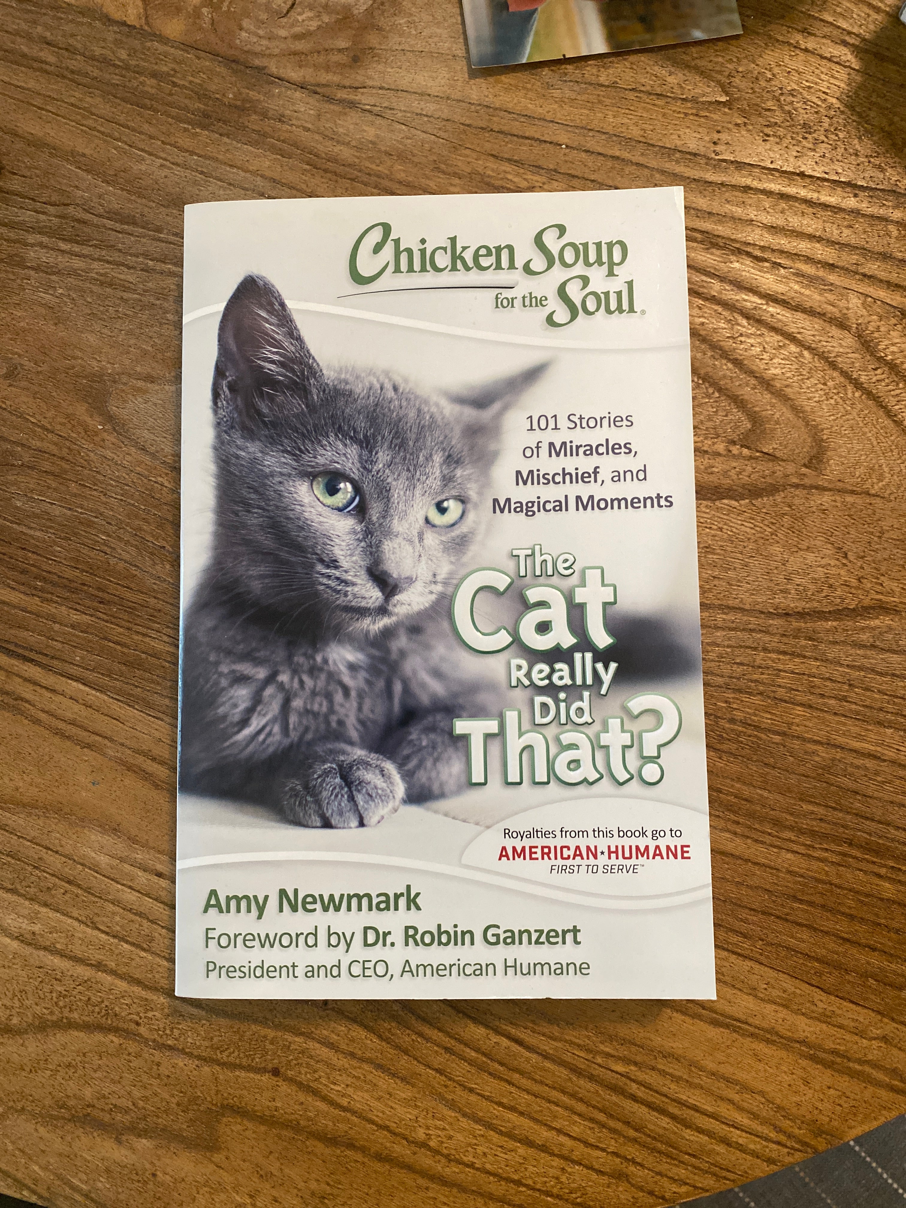 Chicken Soup for the Soul: the Cat Really Did That?