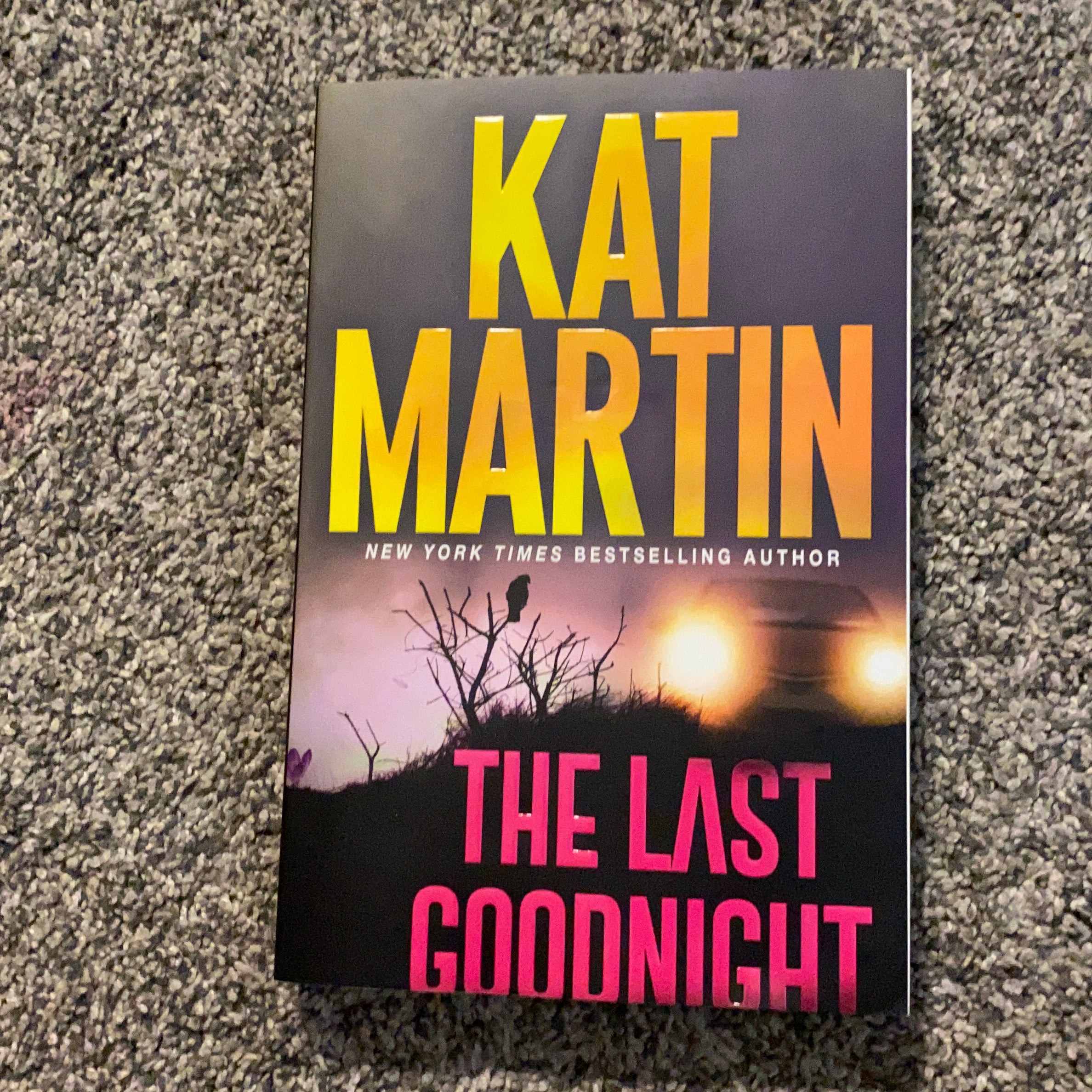 The Last Goodnight