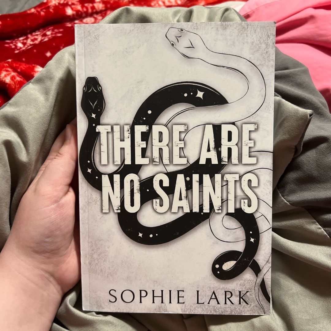 There Are No Saints (Sinners Duet Book 1) - Kindle edition by Lark