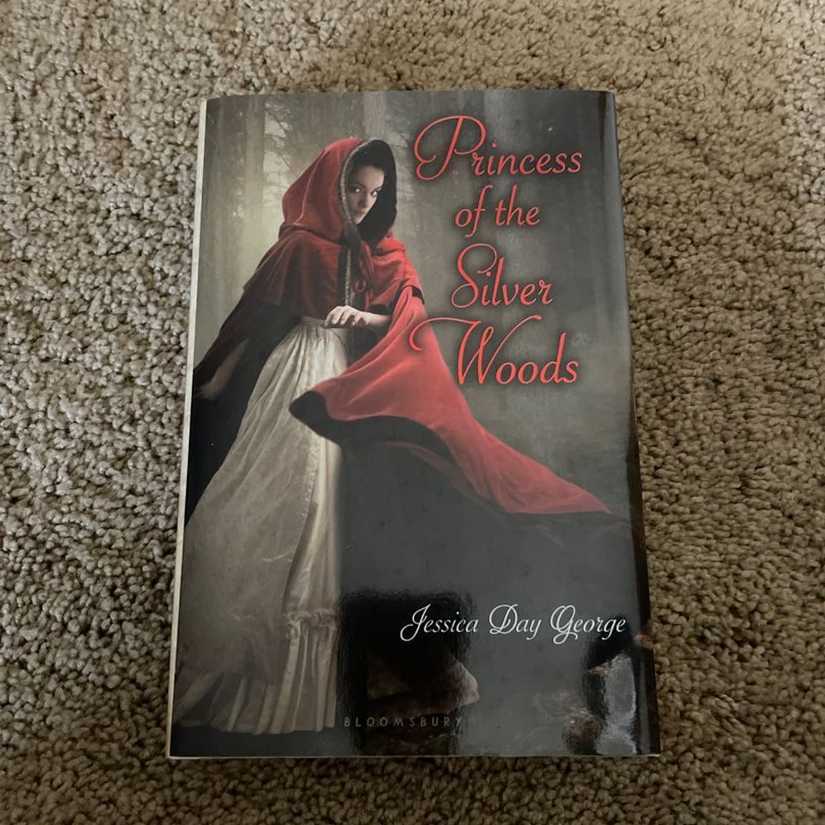 Princess of the Silver Woods by Jessica Day