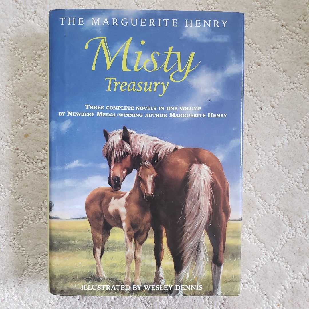 The Misty Treasury