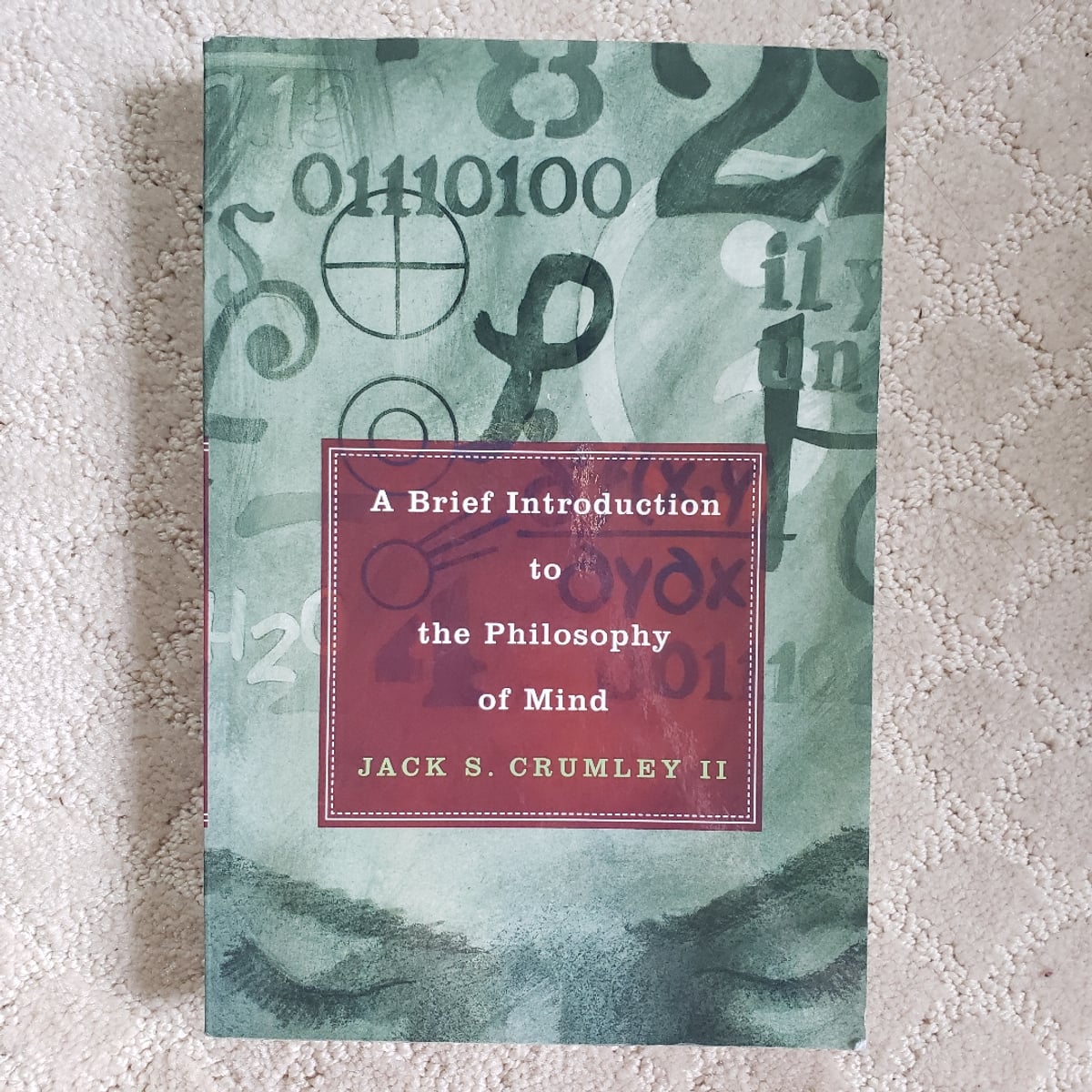 A Brief Introduction to the Philosophy of Mind by Jack S. Crumley, Jack S. Crumley