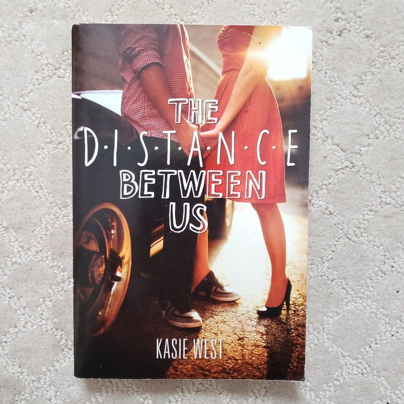 The Distance Between Us (1st Edition)