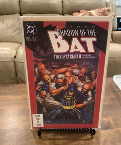 Batman Shadow of the Bat Part 1 of 4