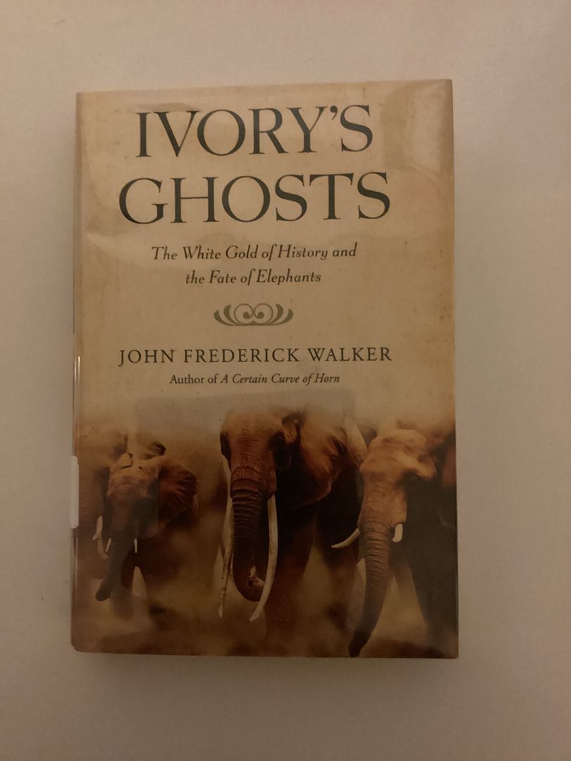 Ivory's Ghosts