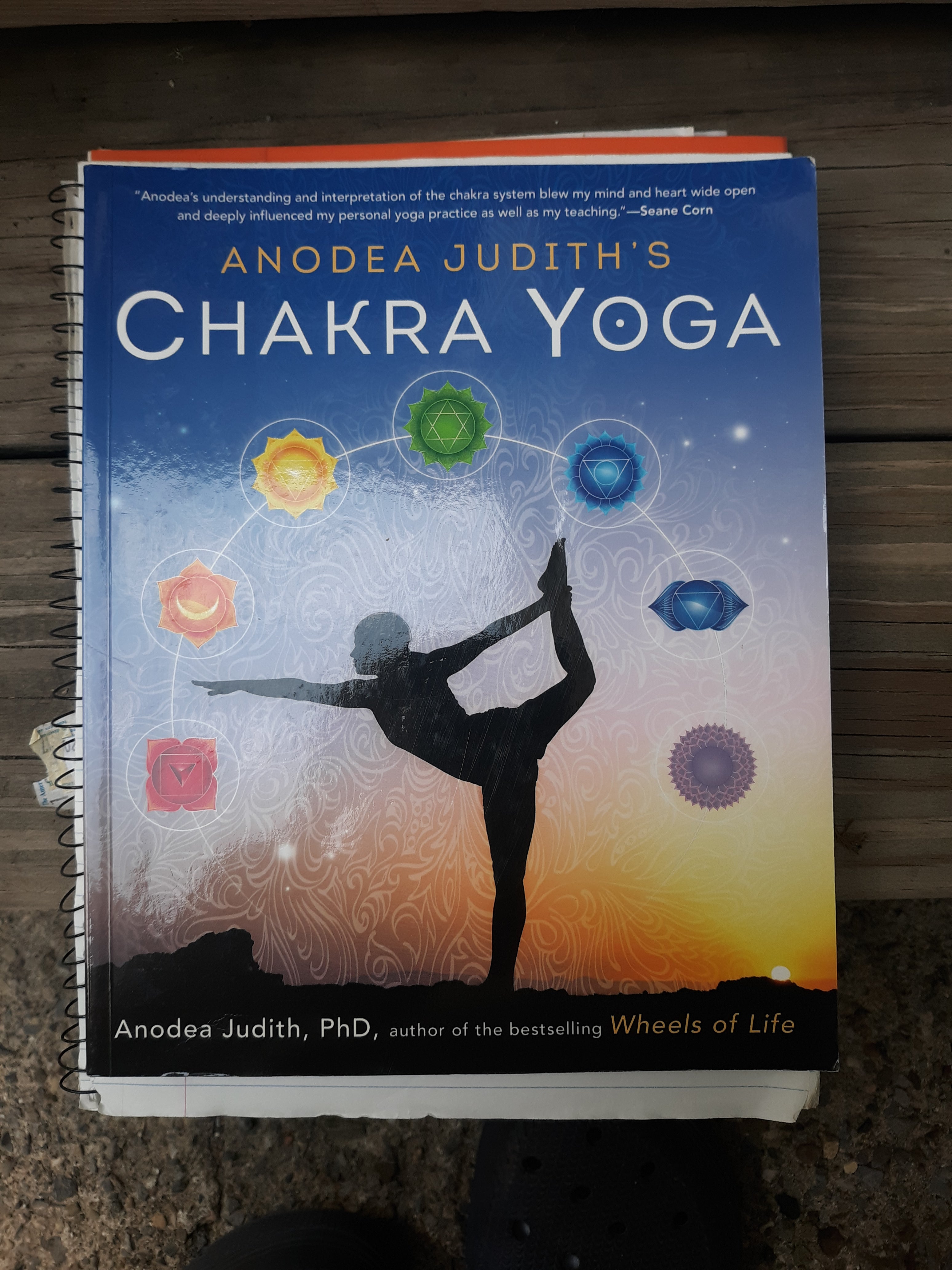 Anodea Judith's Chakra Yoga