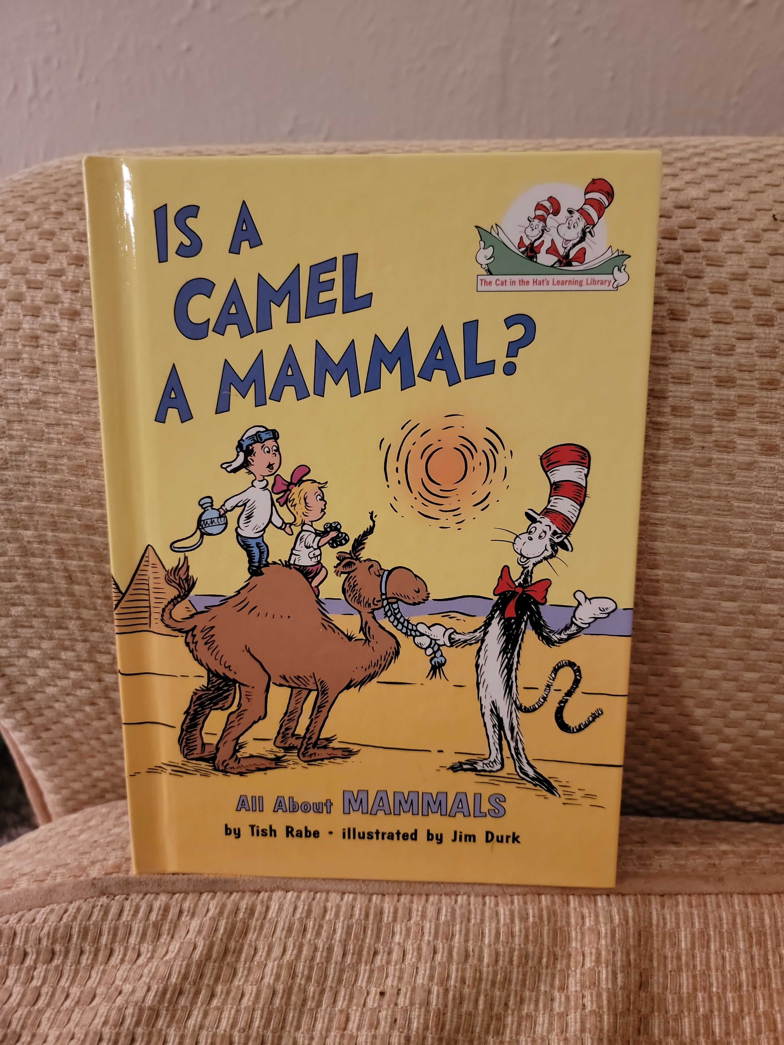 Is a Camel a Mammal?