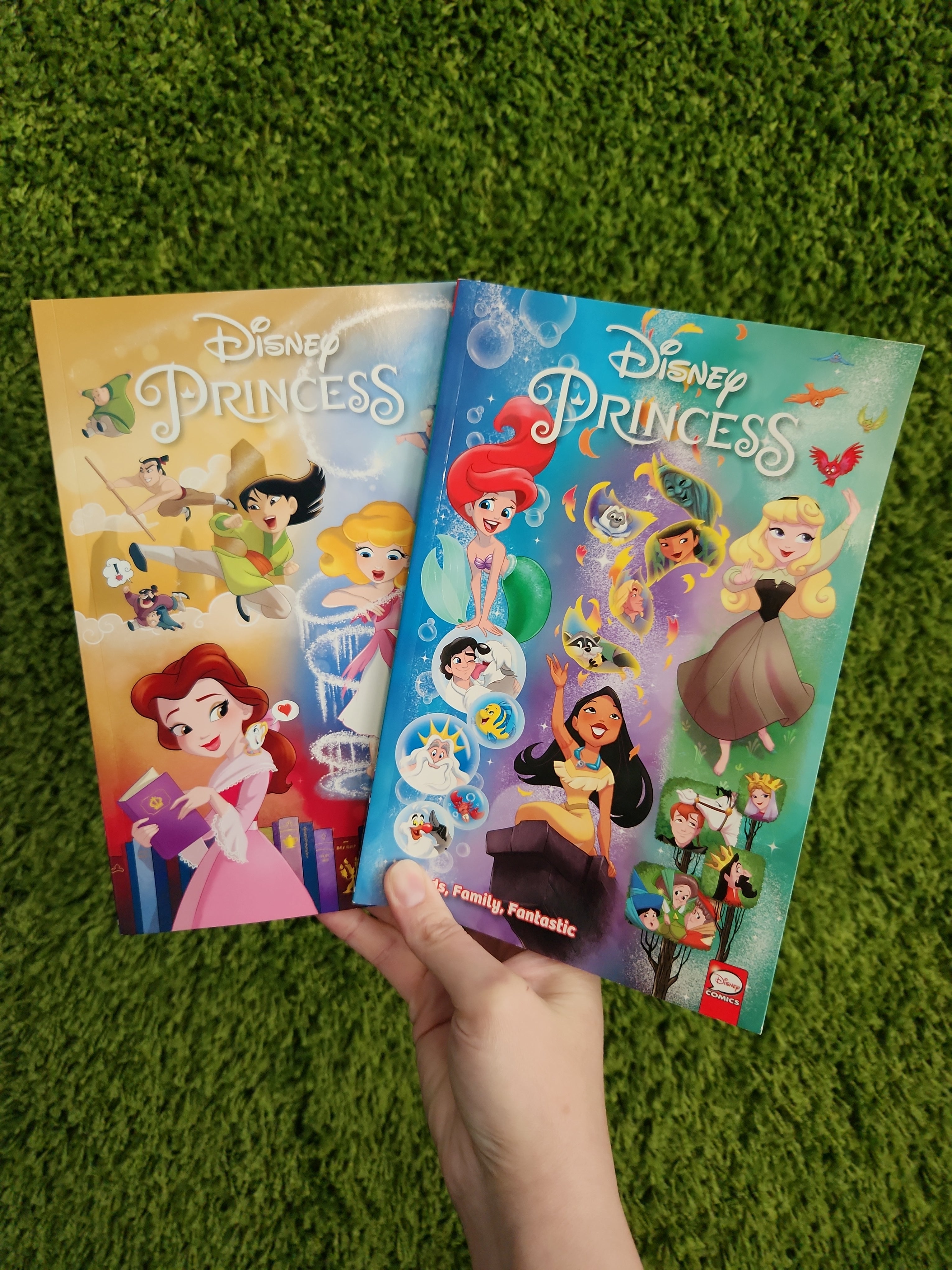 Disney Princess: Friends, Family, Fantastic