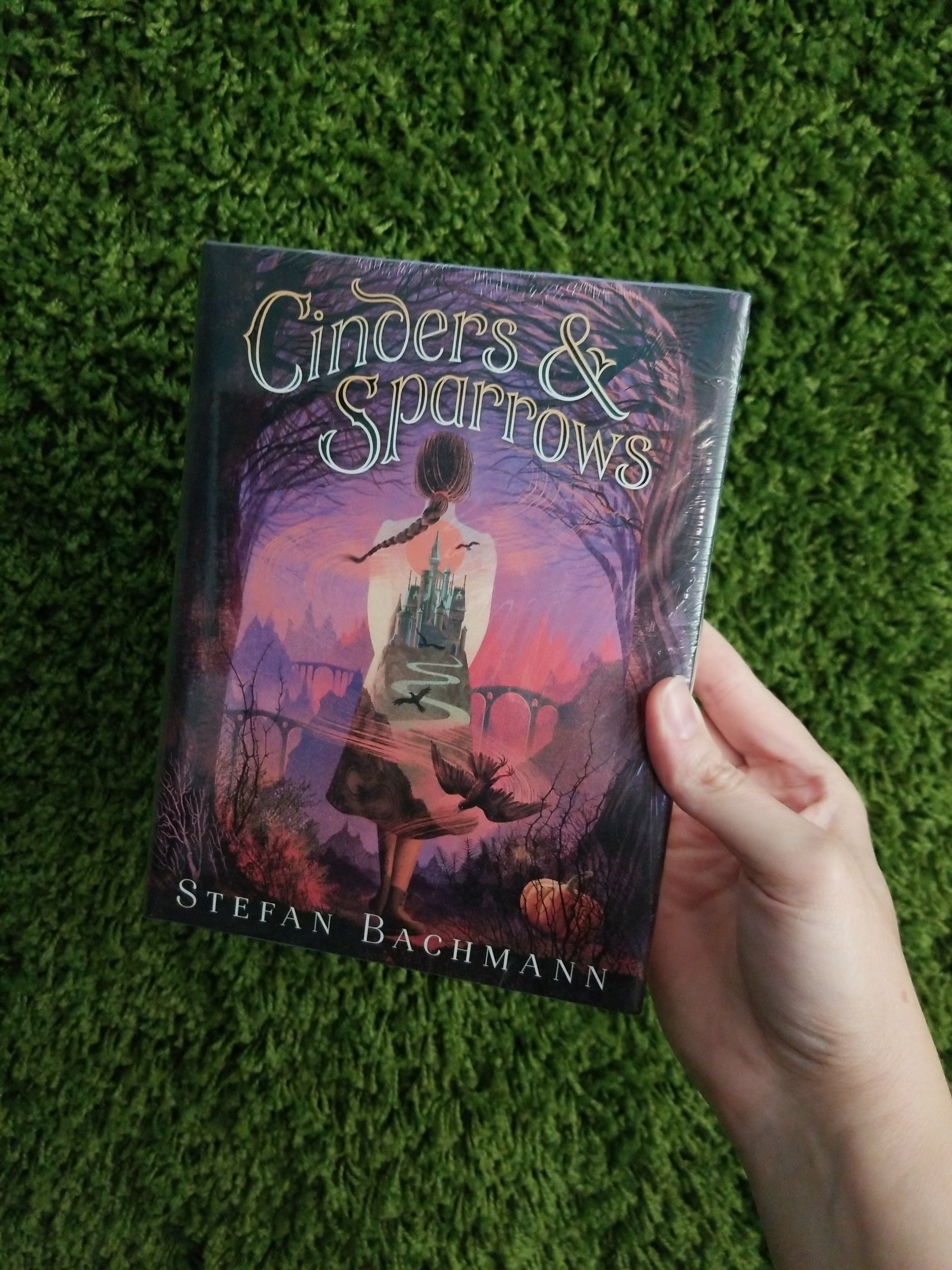 Cinders and Sparrows by Stefan Bachmann