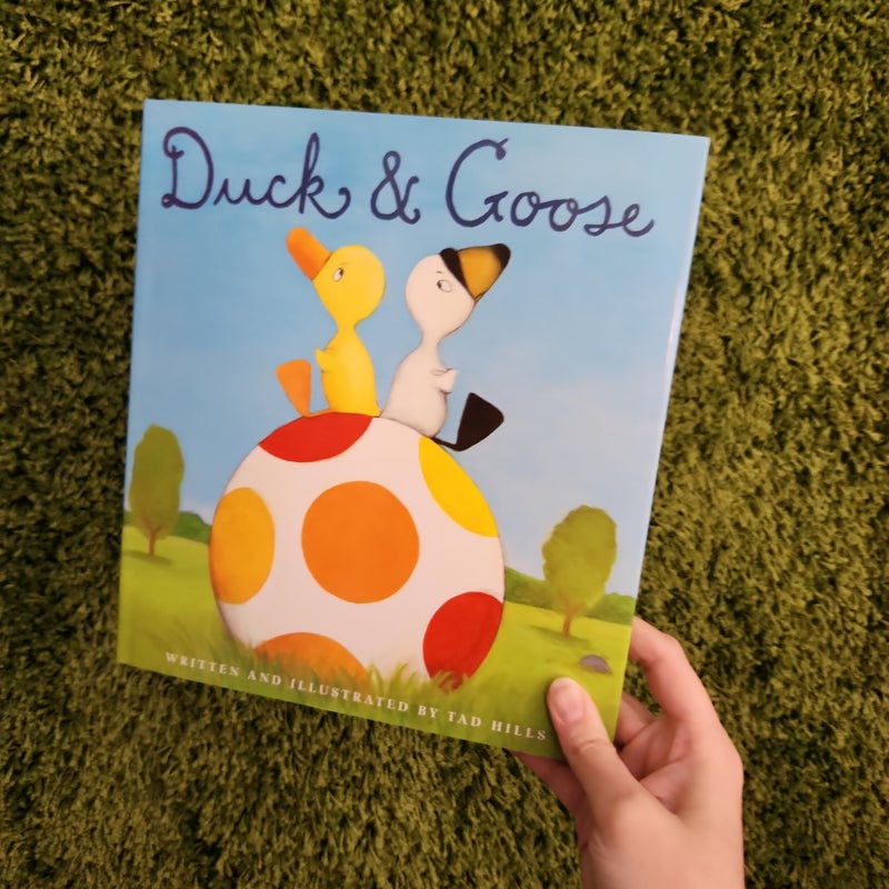 Duck and Goose