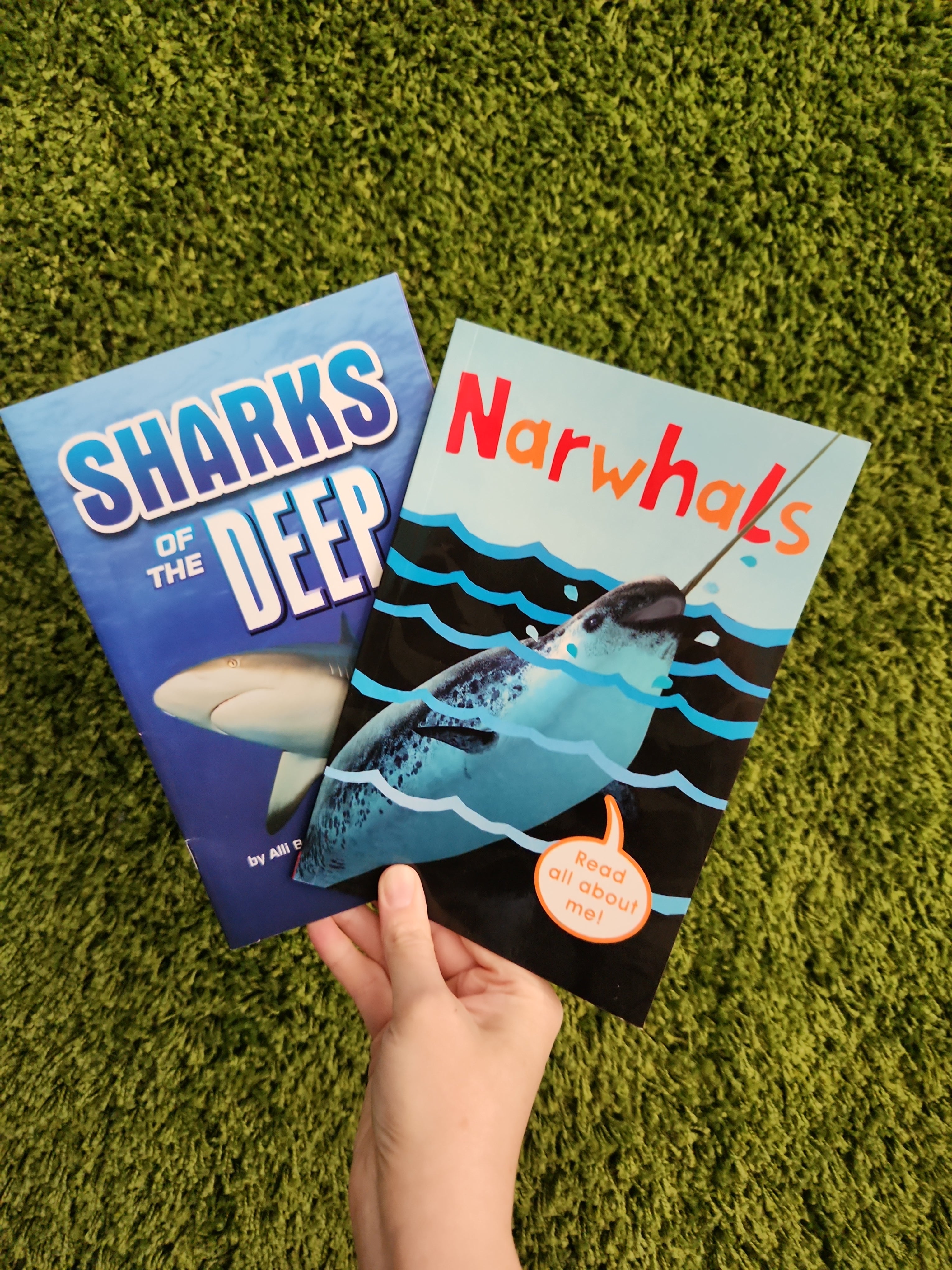 Deepsea Bundle: Narwhals; Sharks of the Deep