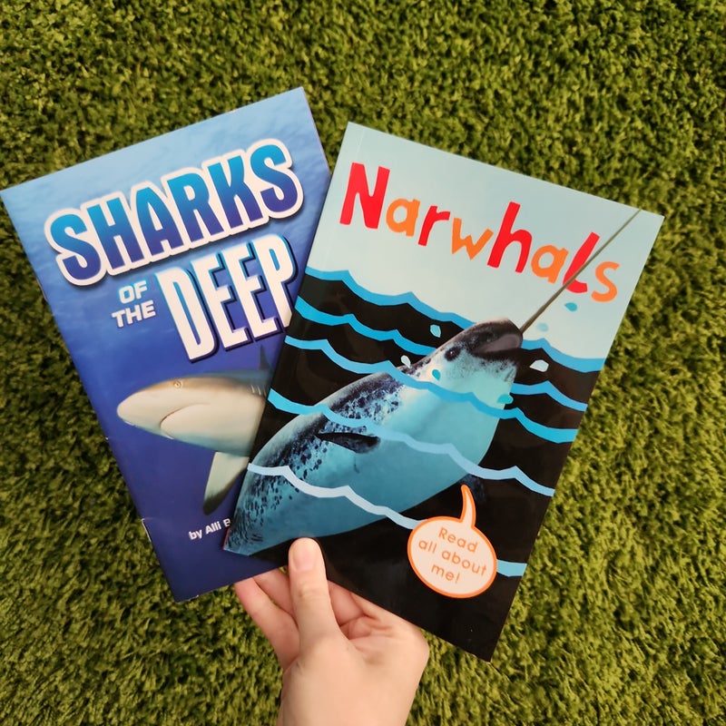 Narwhals; Sharks of the Deep