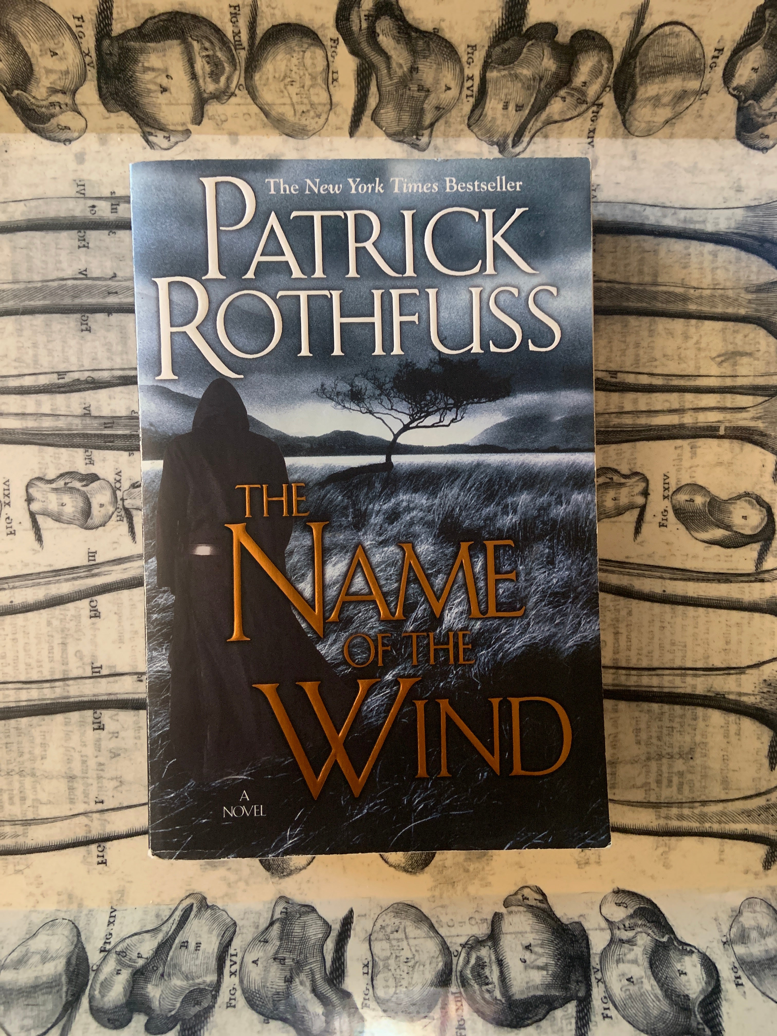 The Name of the Wind