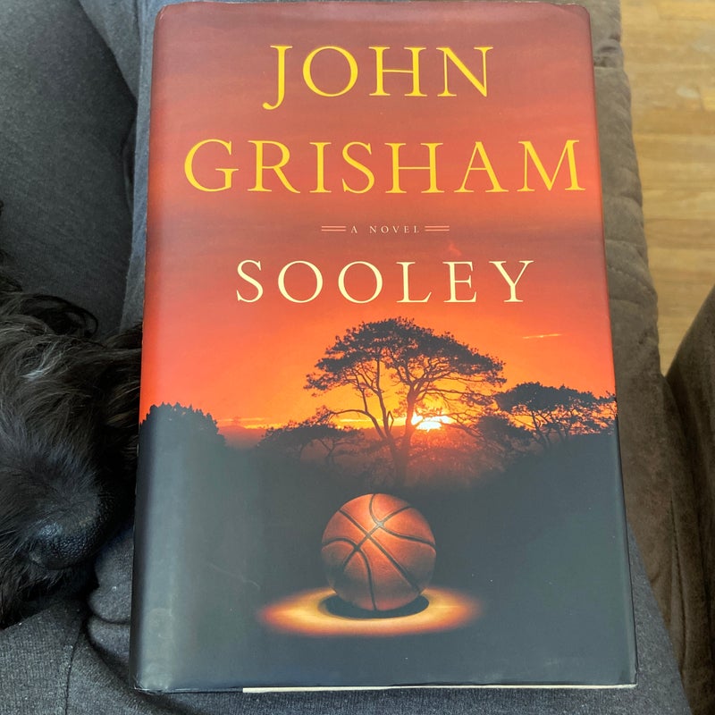 Sooley by John Grisham: 9780593359525 | : Books