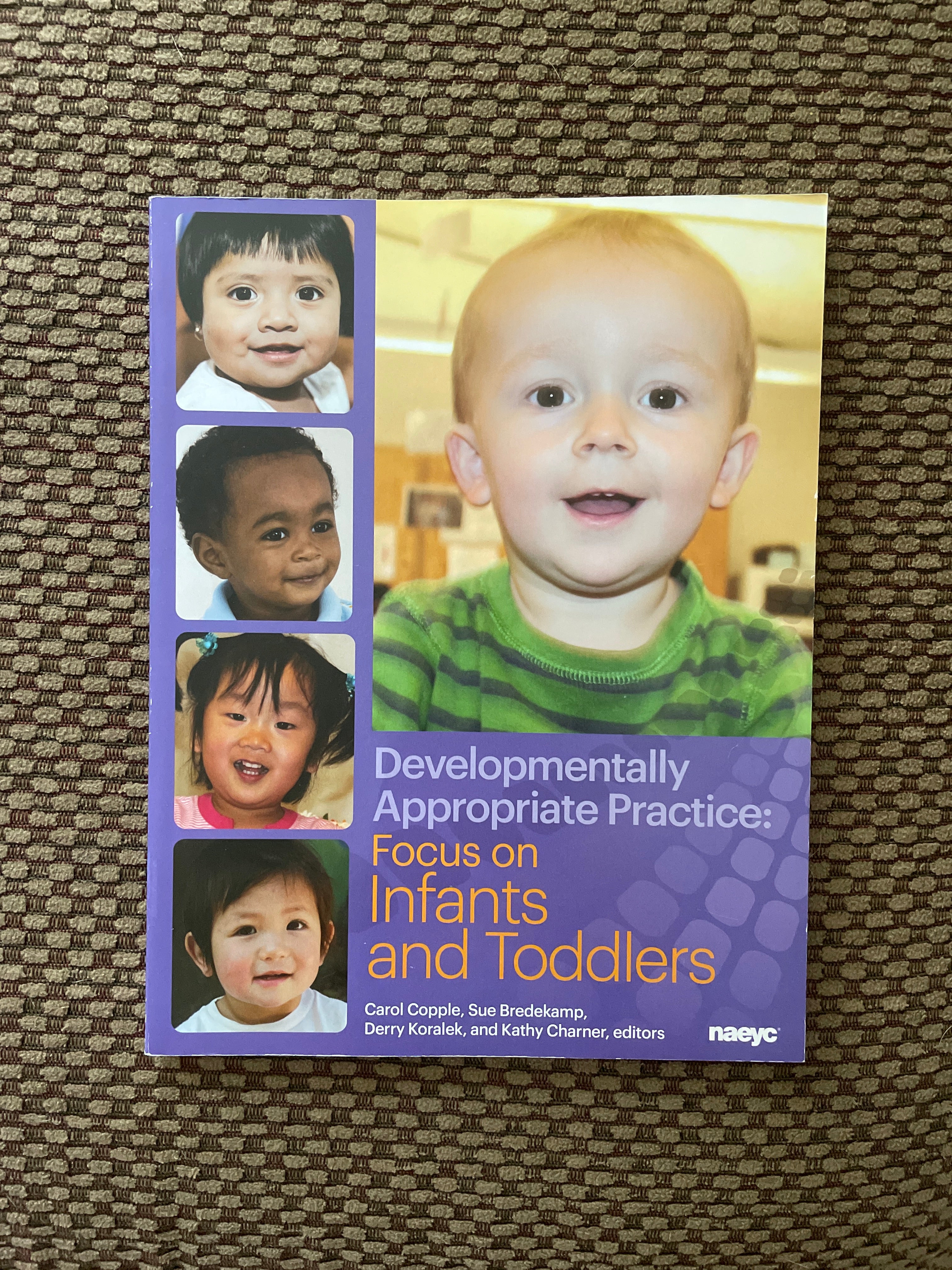 Developmentally Appropriate Practice