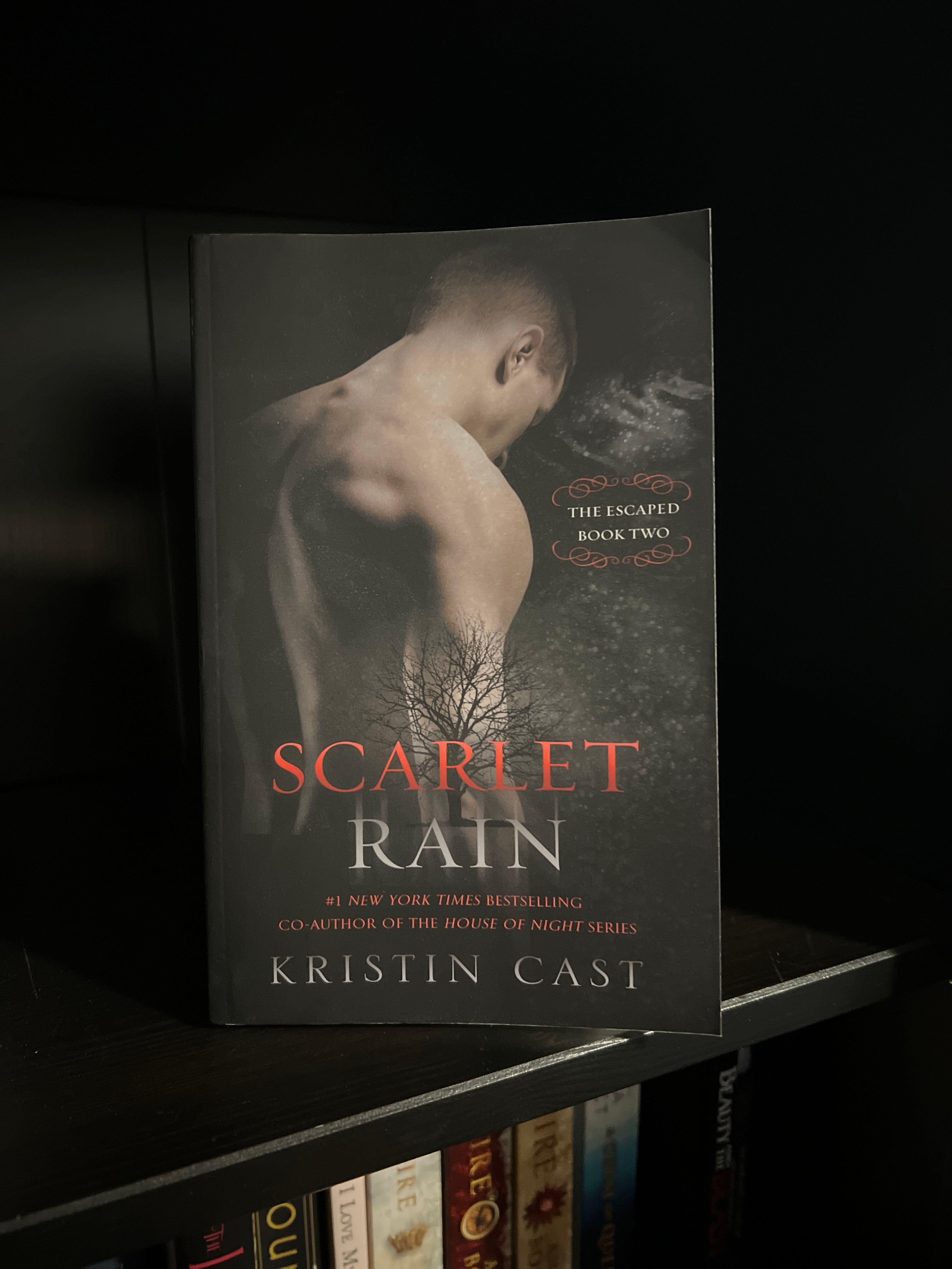 Scarlet Rain