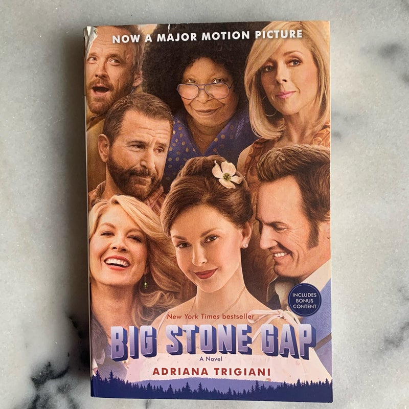 Big Stone Gap (Movie Tie-In Edition)