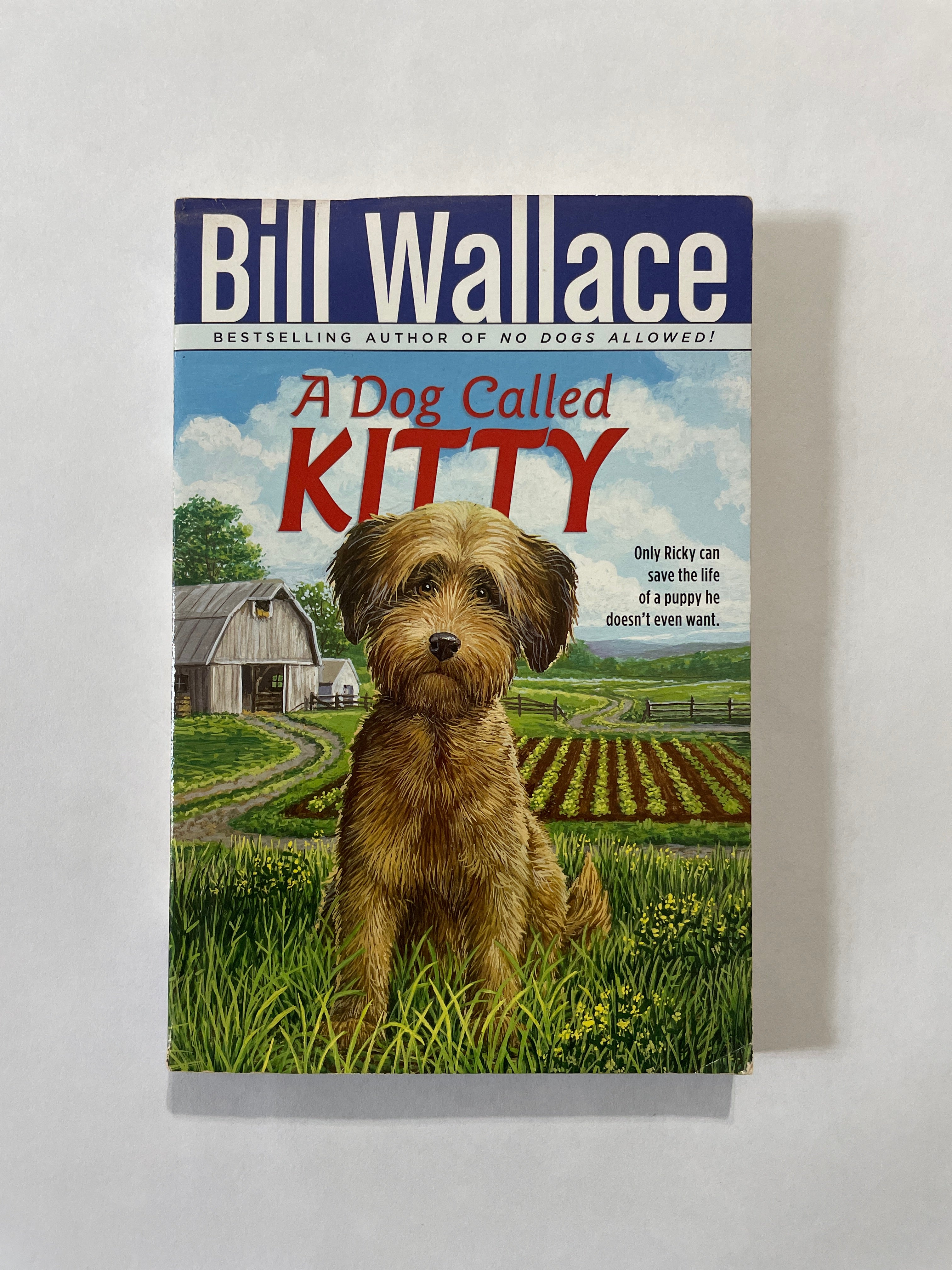 レア洋書A Dog Called Kitty DOG CALLED KITTY Dog Called Kitty: Wallace, Bill: 9780671770815: Amazon.com