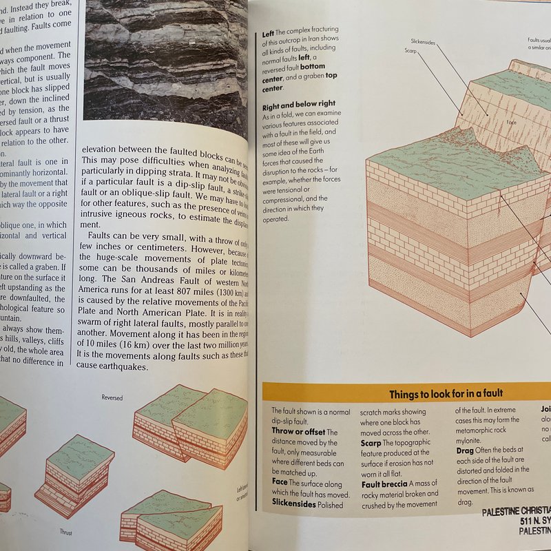 Introduction to Rocks and Minerals by Dougal Dixon