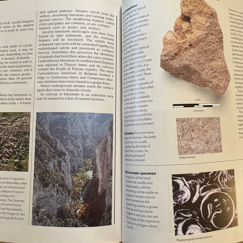 Introduction to Rocks and Minerals by Dougal Dixon