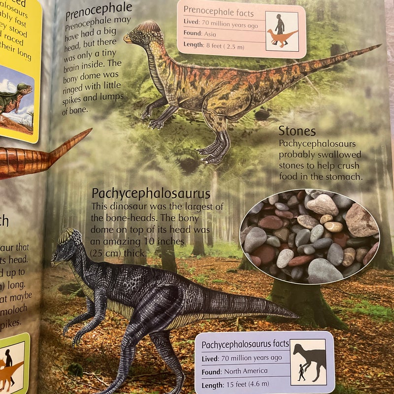 The Children’s Encyclopedia of Dinosaurs 