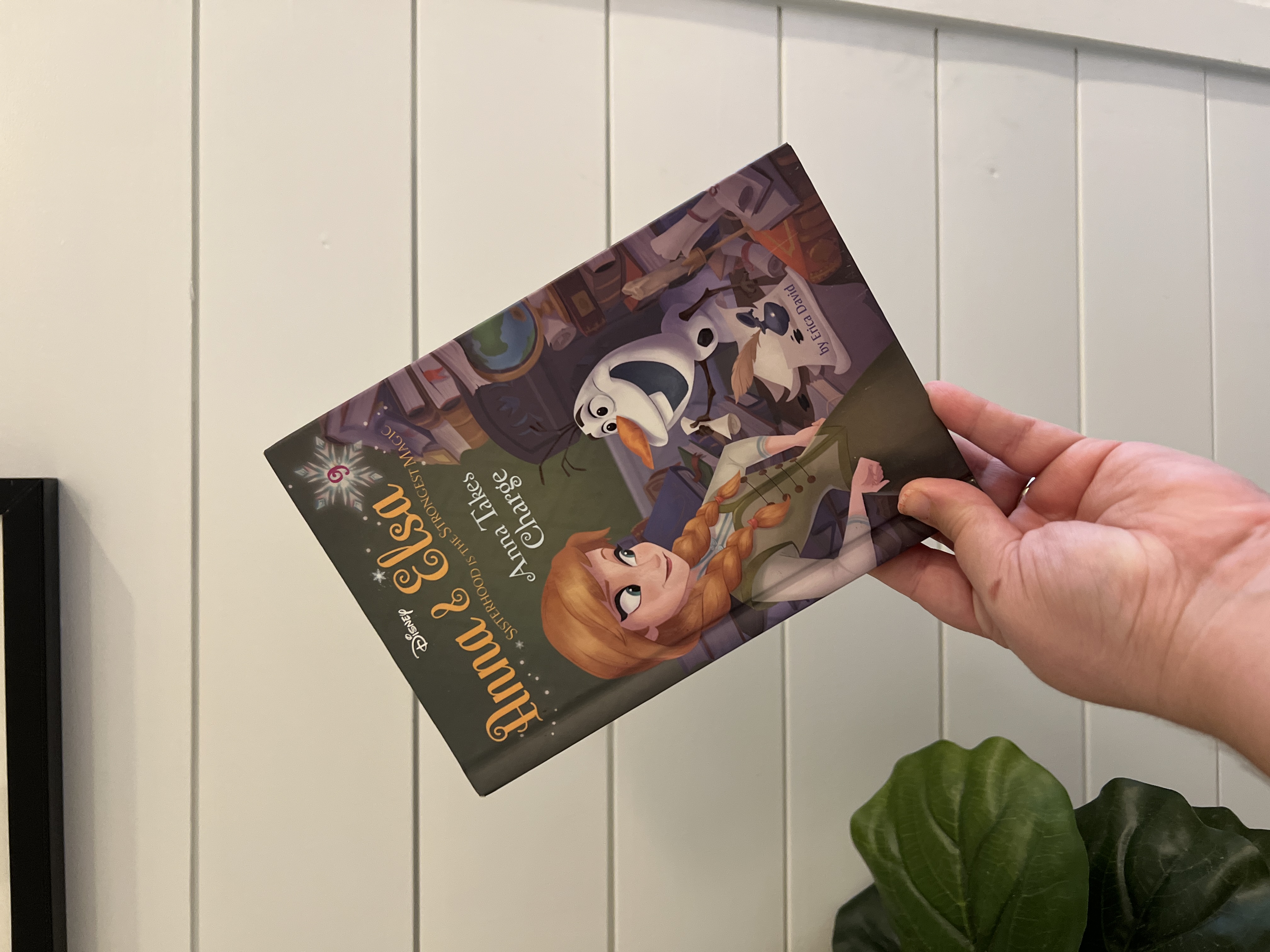 Anna and Elsa #9: Anna Takes Charge (Disney Frozen)