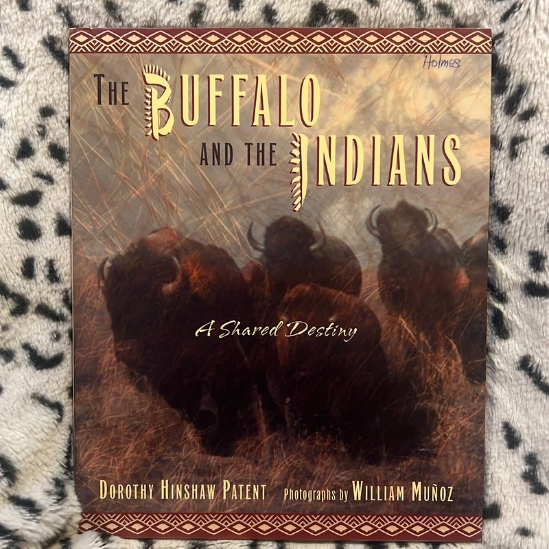 The Buffalo and the Indians