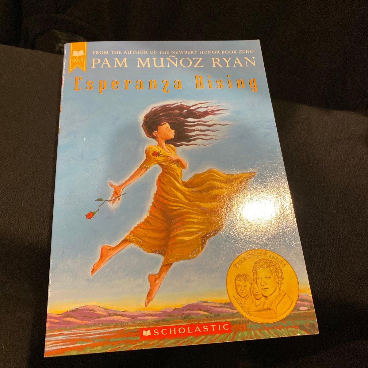 Esperanza Rising (Scholastic Gold): Ryan, Pam Muñoz: 9780439120425:  : Books