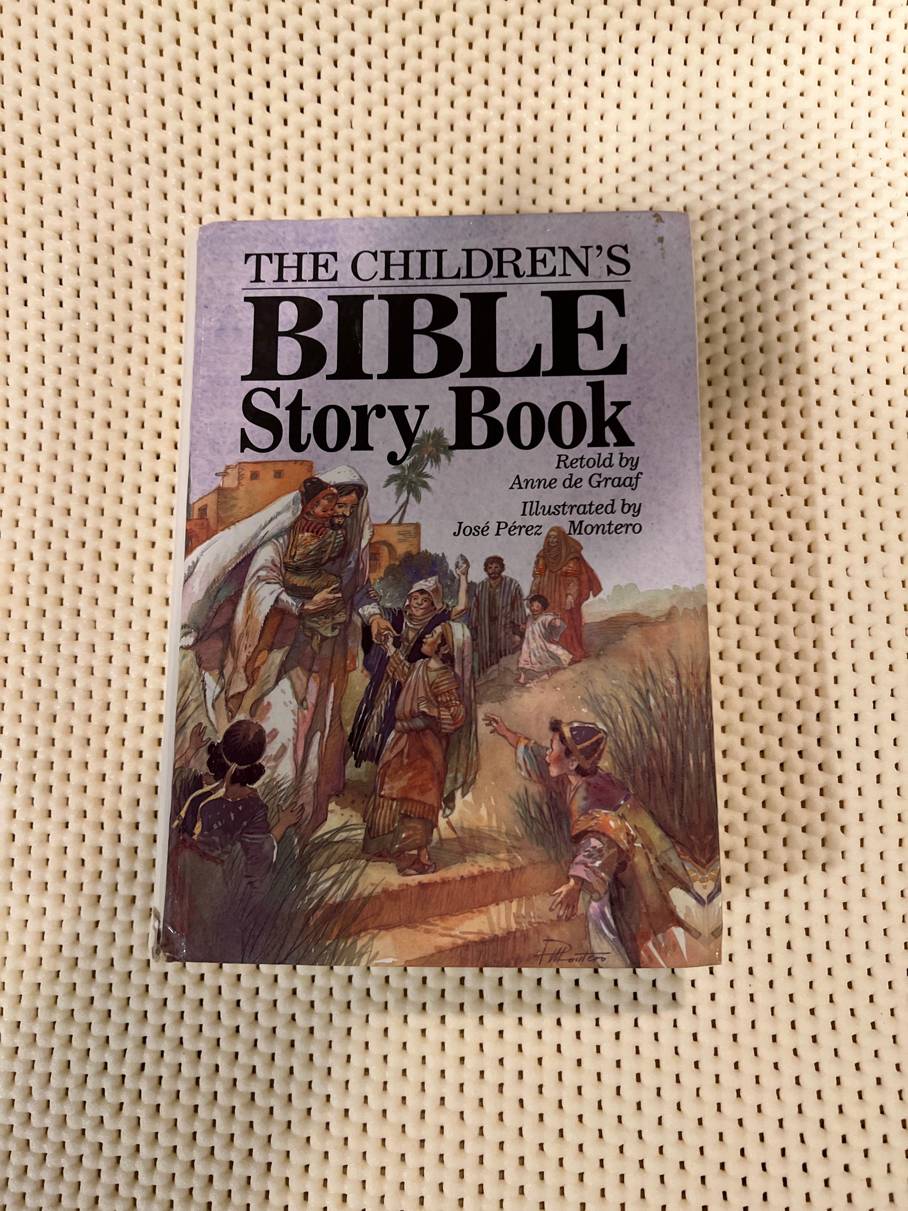 The Children's Bible Story Book