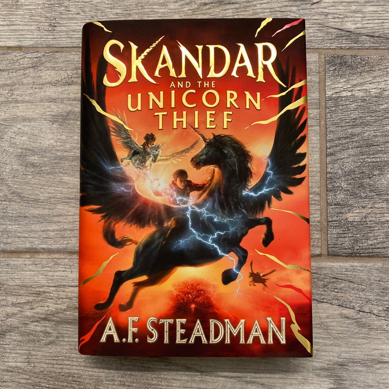 Skander and the Unicorn Thief 