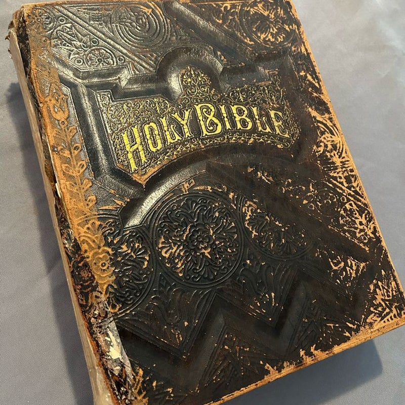 The Holy Bible 
