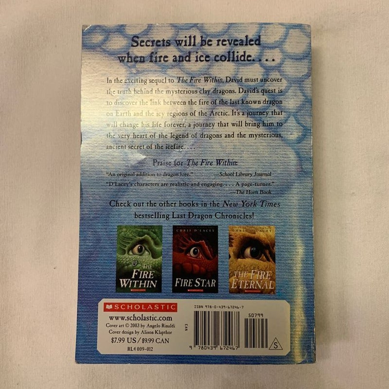The Last Dragon Chronicles Books 2 & 4