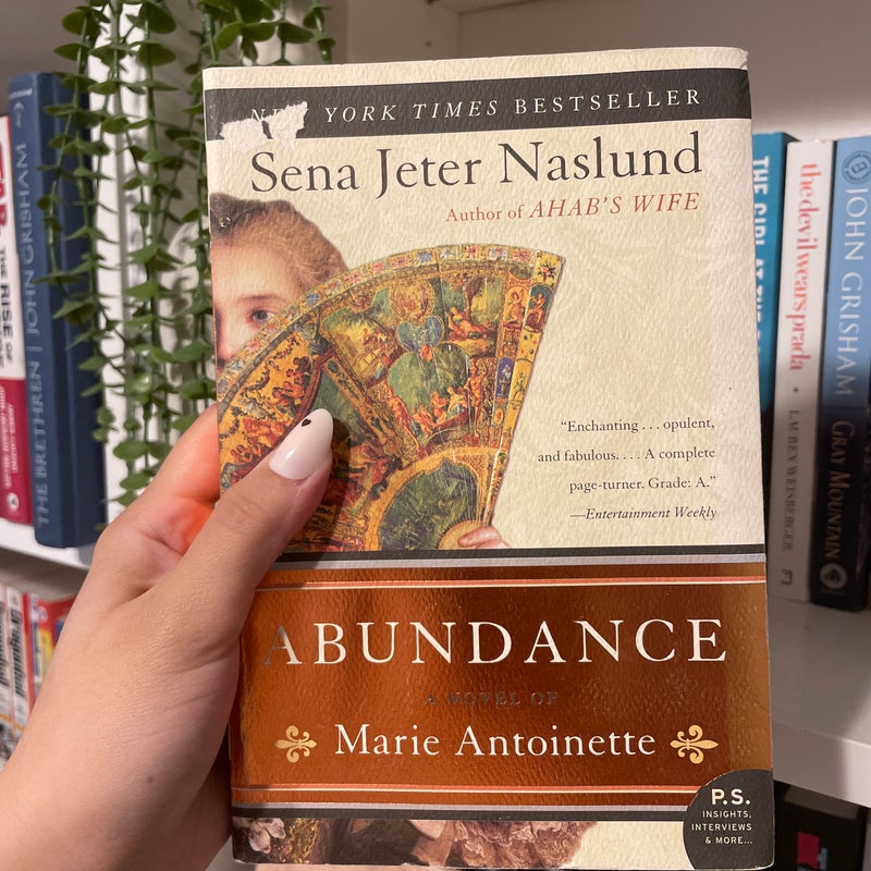 Abundance, a Novel of Marie Antoinette