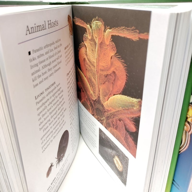 Encyclopedia of Discoveries 4 Volume Box Set Reptiles Nature Skywatching Science